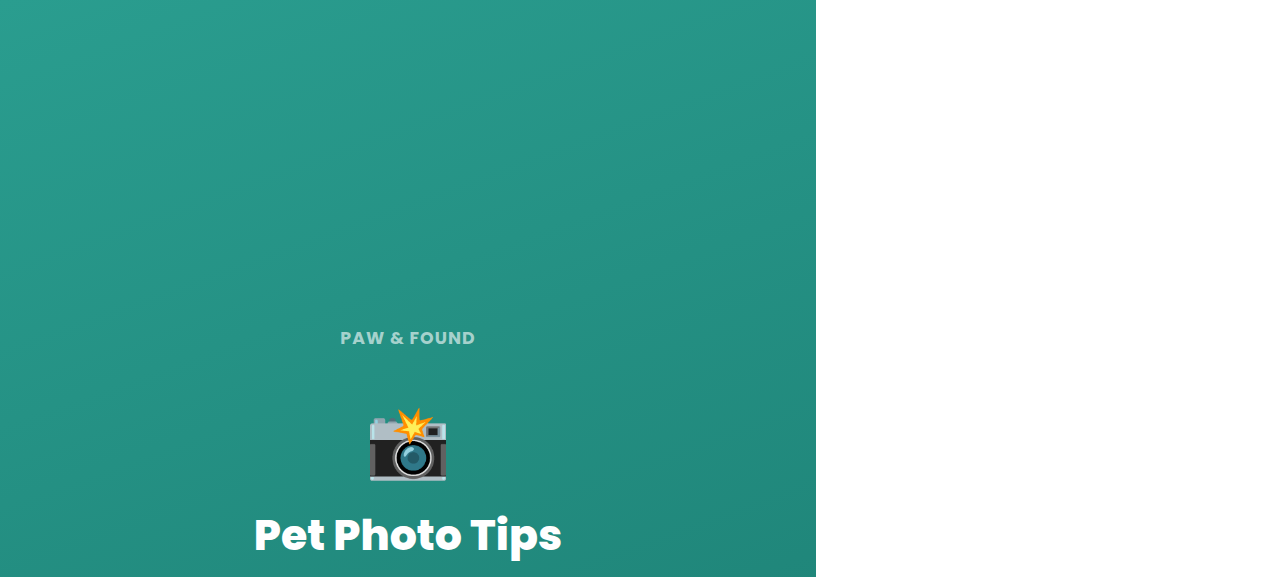 Pet Photo Tips Guide
